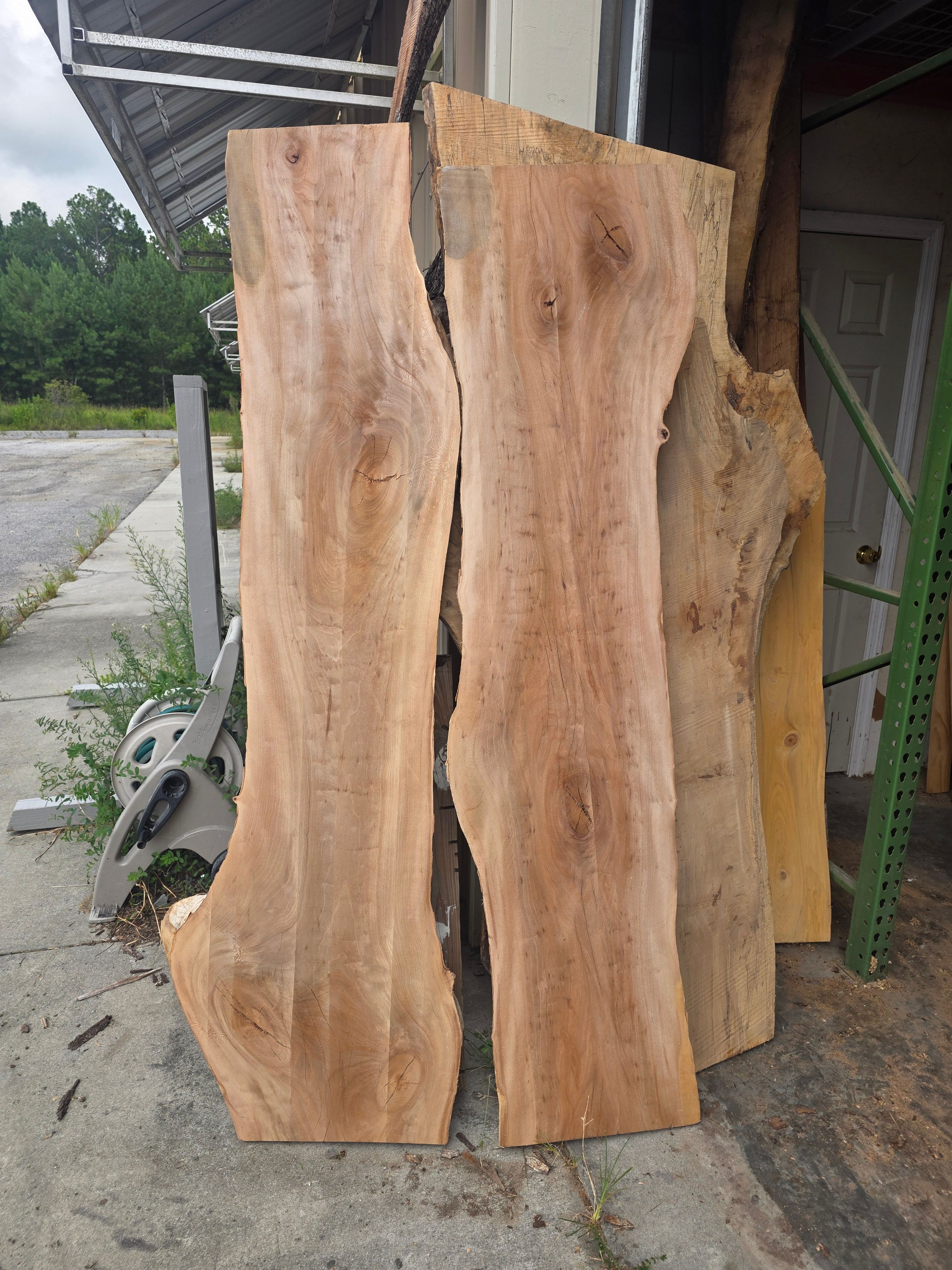 Example photograph of a Sycamore slab