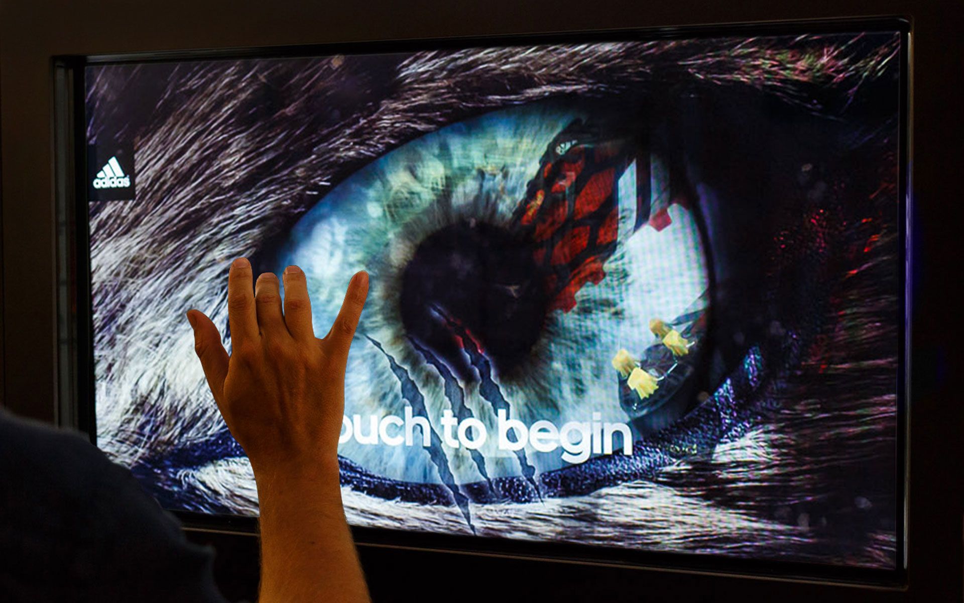 Hand touching a touch screen showing a close up of a wolf’s eye that reads “Touch to begin”