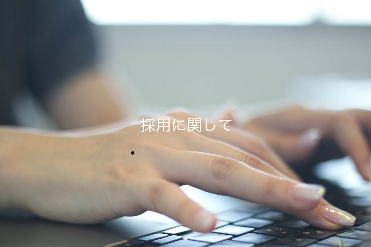 新規採用情報