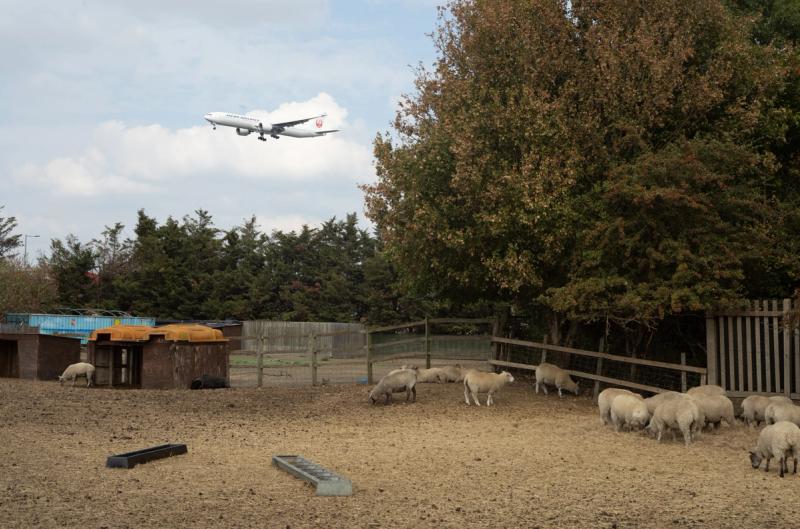 Japan Airlines