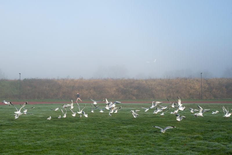 Runner and some seagulls