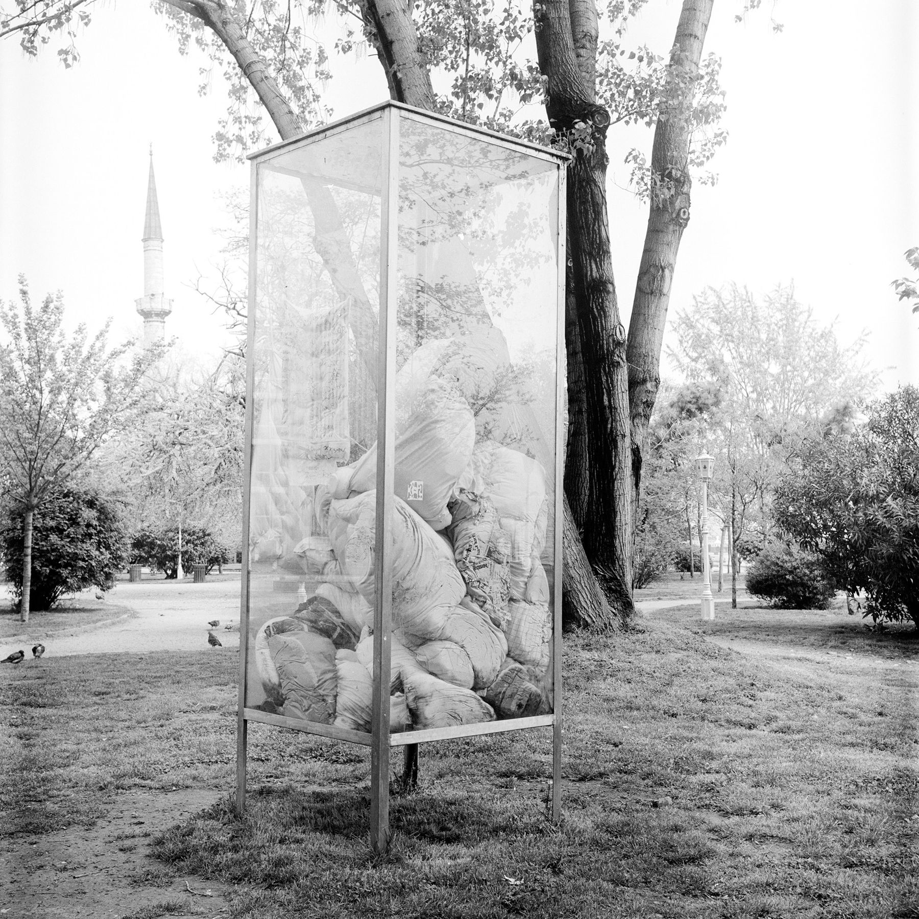 Project image