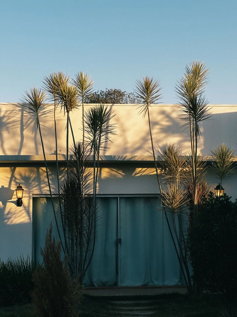 Modern house exterior with palm trees
