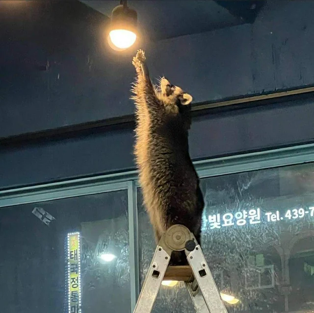 FLINTA Lights Workshop!