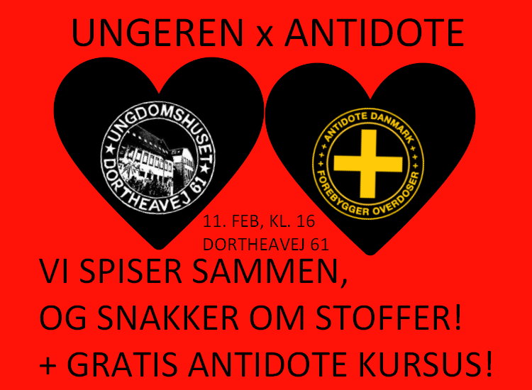 UNGEREN x ANTIDOTE FOLKEKØKKEN + OPLÆG