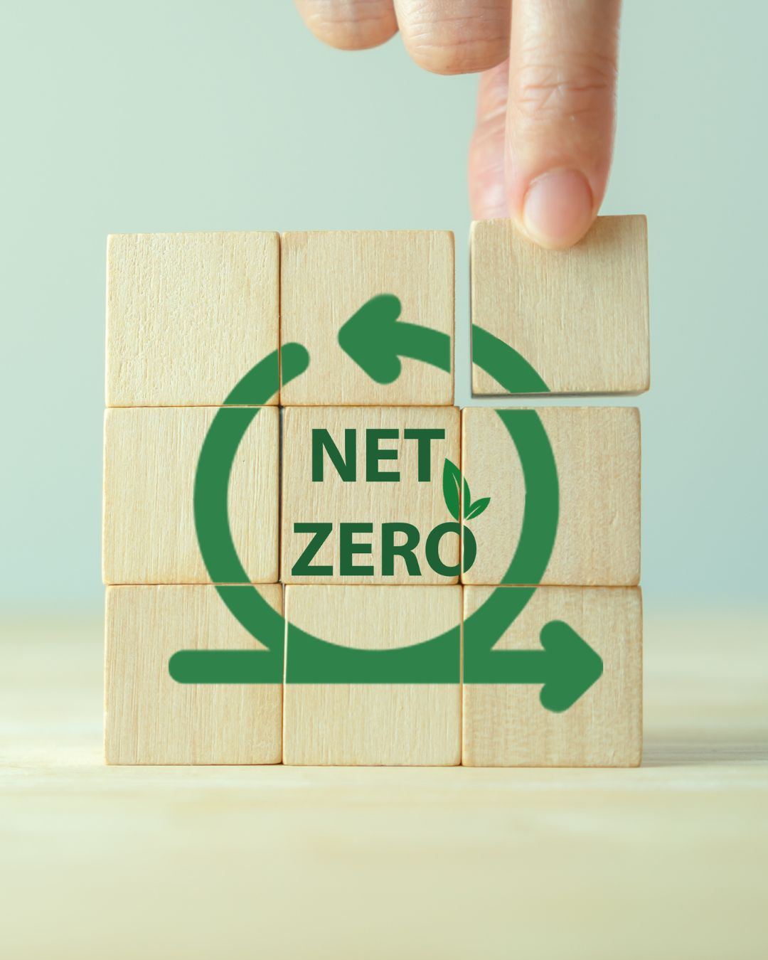 Net Zero boxes