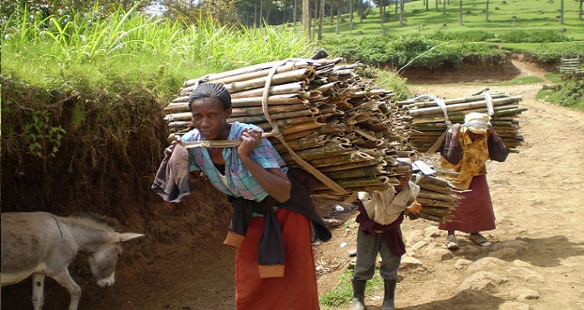 Kenyan Family as part of the Kenyan Stove Project Carbon Zero 
