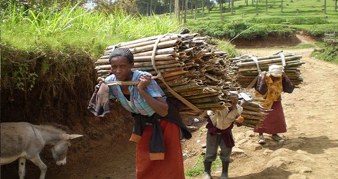 Kenyan Family as part of the Kenyan Stove Project Carbon Zero