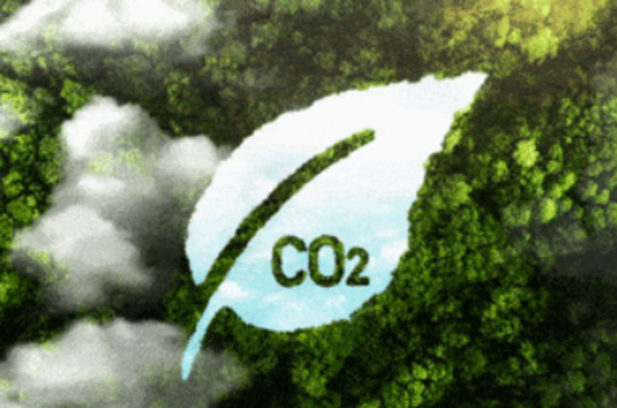 Benefits of Becoming Carbon Zero as a Company