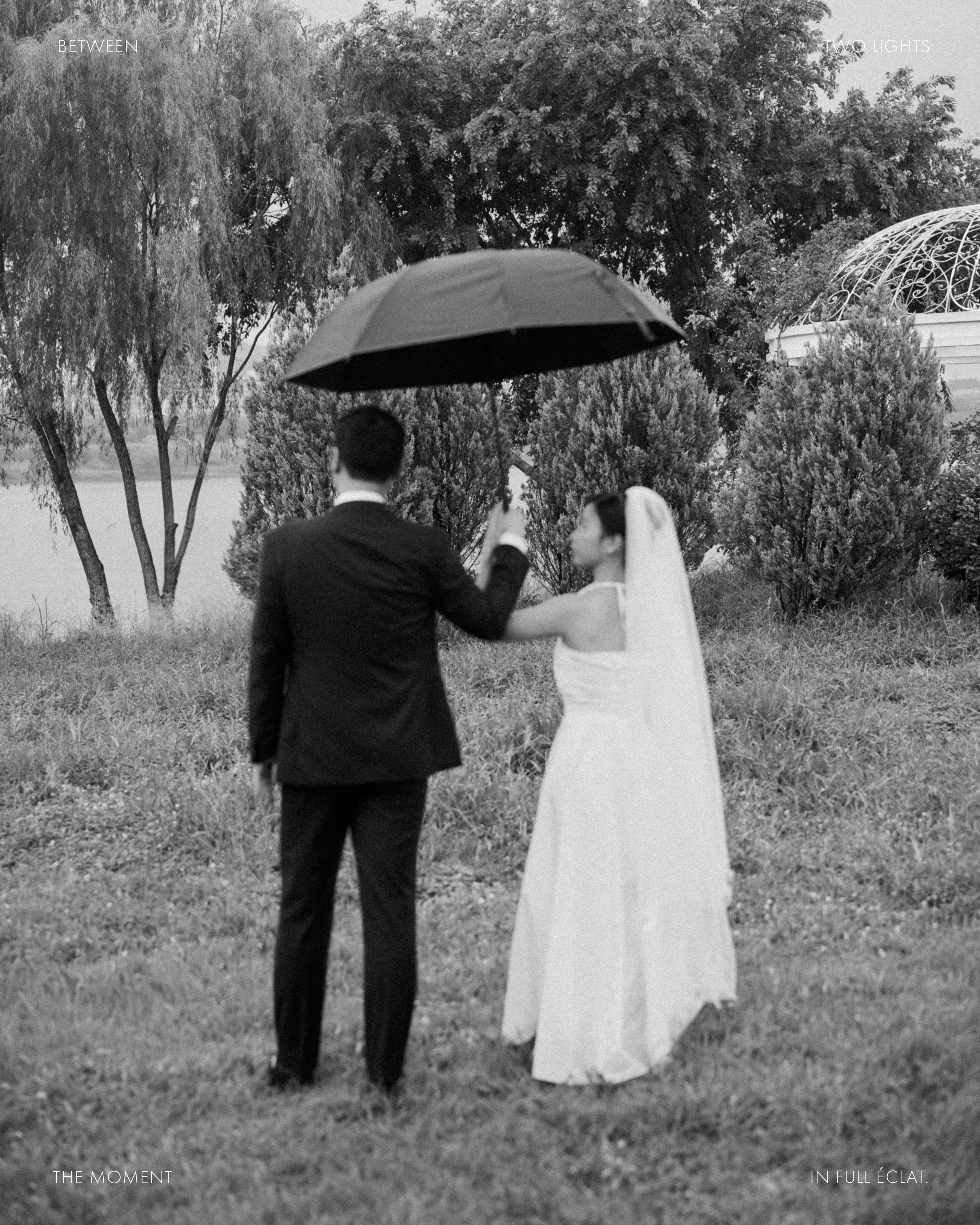 ONE UMBRELLA