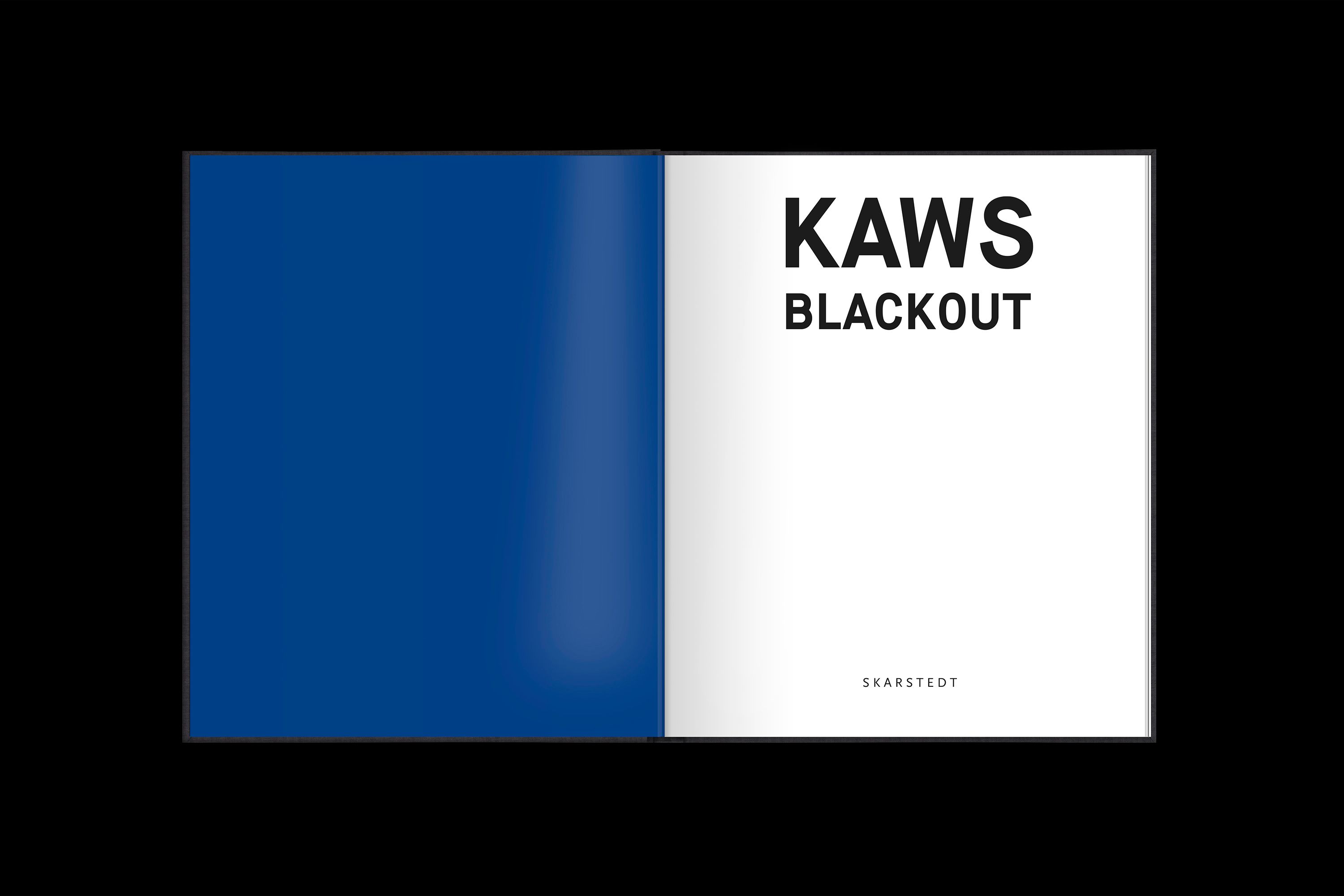 KAWS Blackout