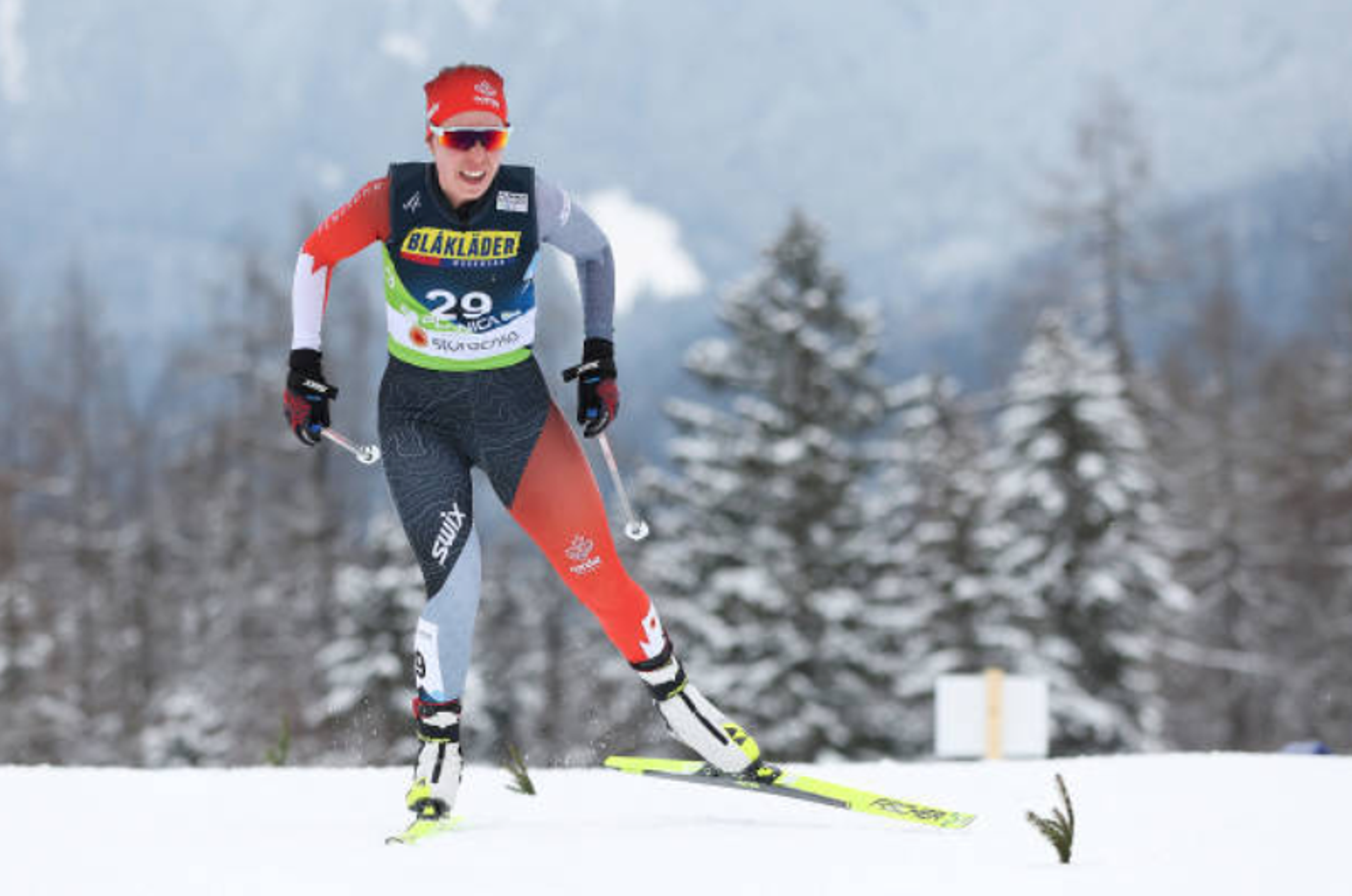 A cross-country skier races wearing bib number 29 in a snowy forest course.