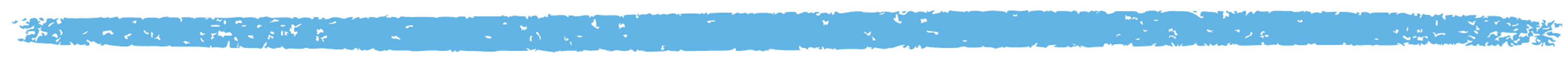 Blue hand-painted brushstroke used as a section divider.