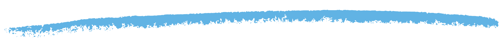 Blue brushstroke underline used as a section divider