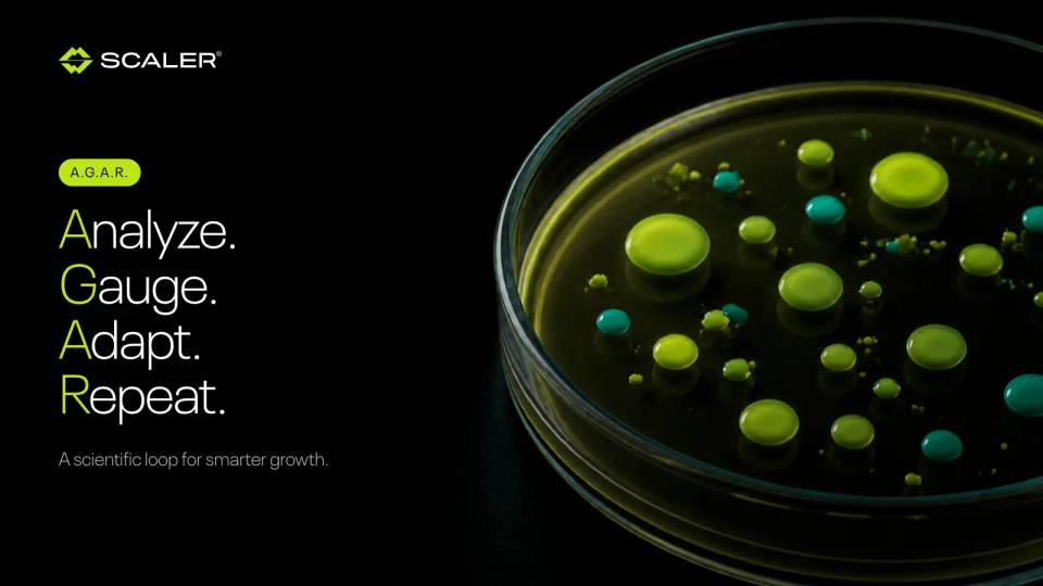 Scaler’s A.G.A.R. growth framework: Analyze, Gauge, Adapt, Repeat illustrated by green and teal cultures growing in a petri dish.