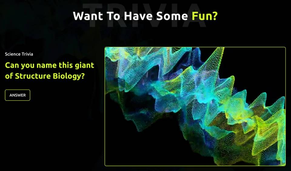 Interactive visual website
