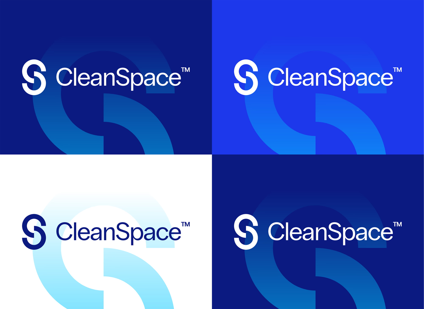 Brand Identity design detail