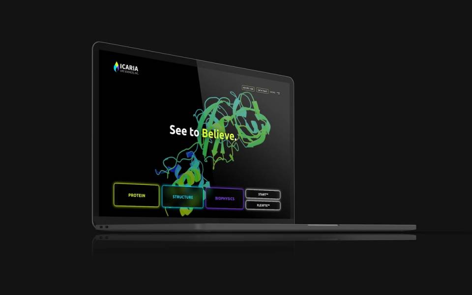 Bold and dynamic landing page