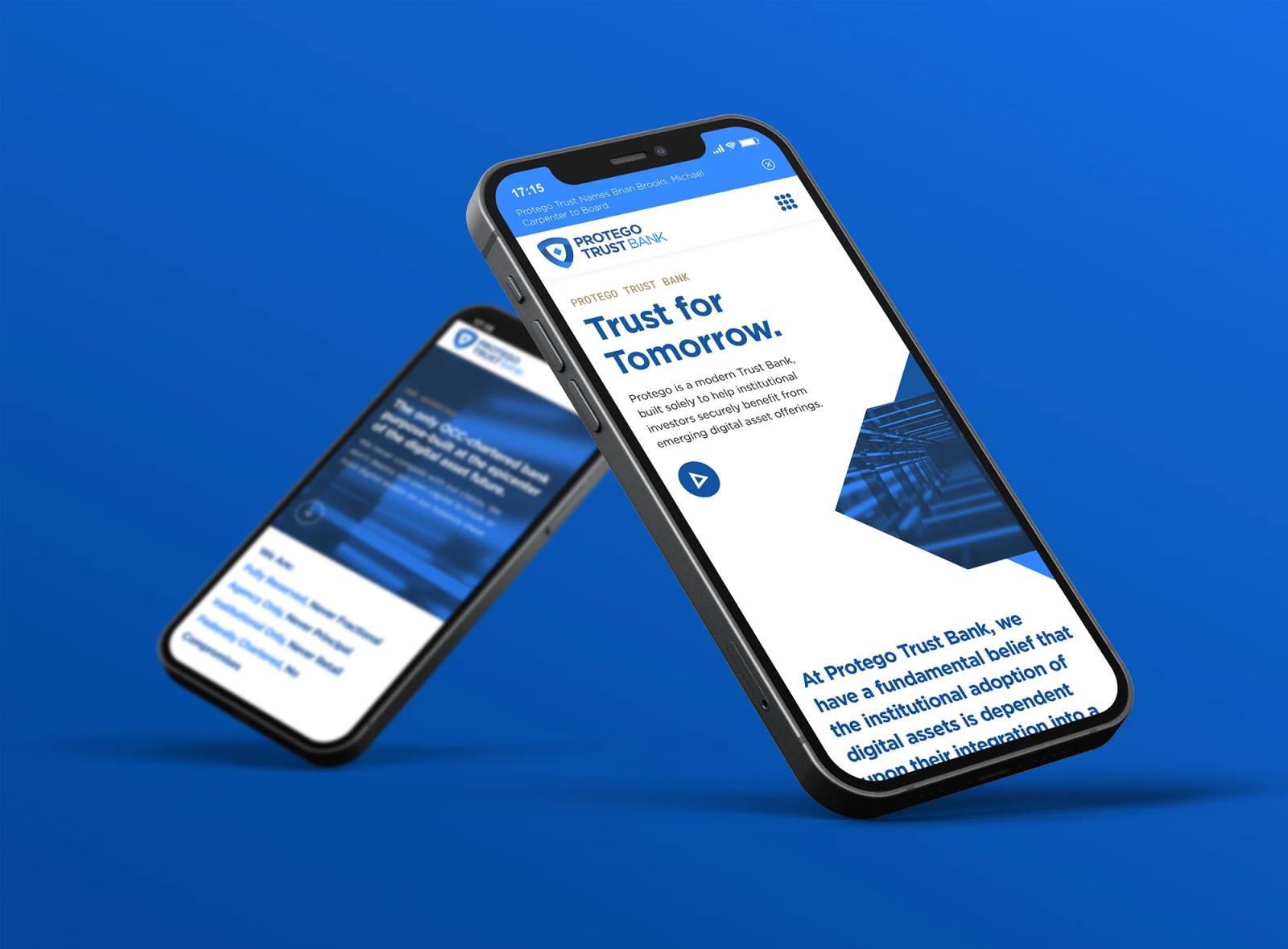 Protego Trust Bank website