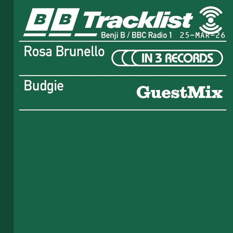 Rosa Brunello In 3 Records