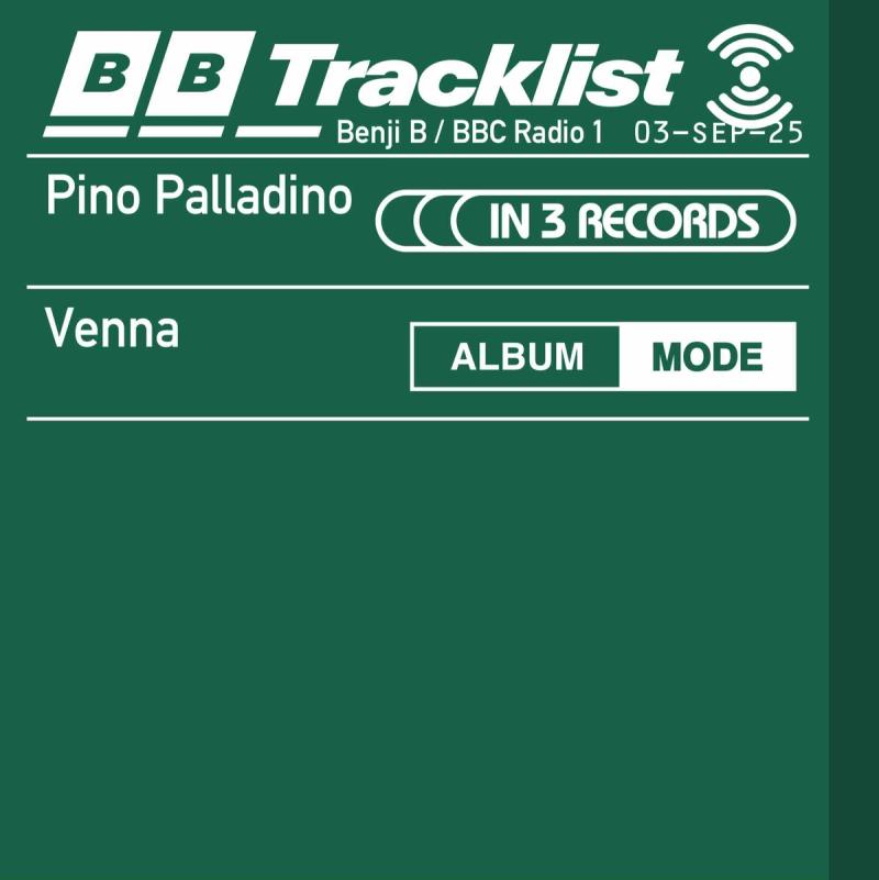 Pino Palladino In 3 Records