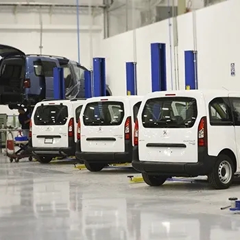 TSN Vans planta