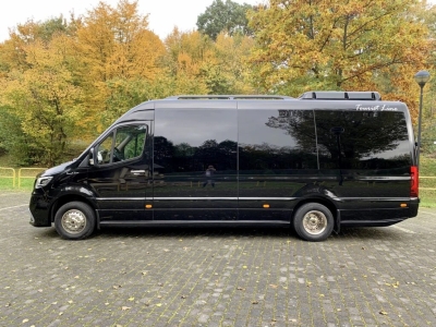 TSN Vans transporte turístico