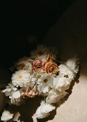 Portfolio image 4