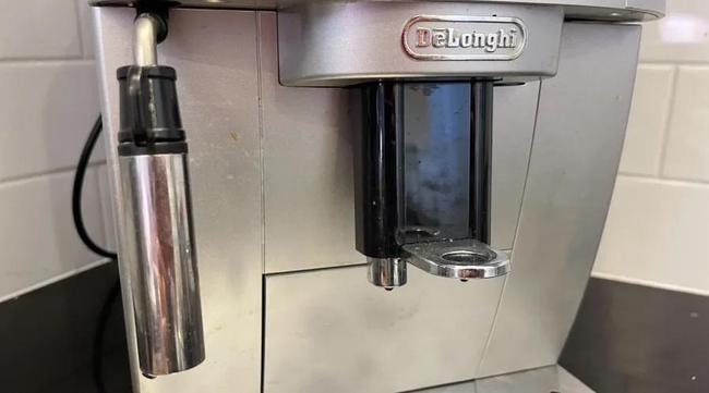 De'Longhi Magnifica S review - in its case