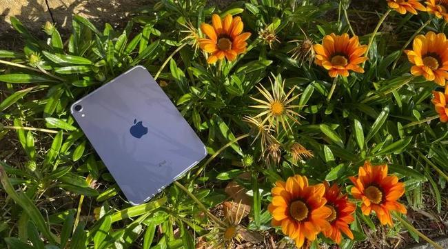 Apple iPad Mini 6th Gen