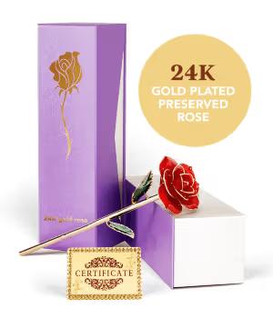 24K Gold Plated Rose