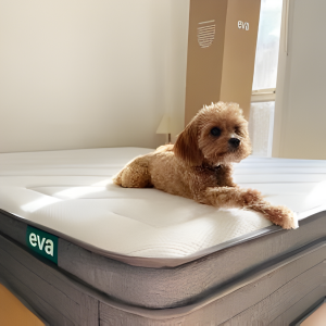 Eva Mattress