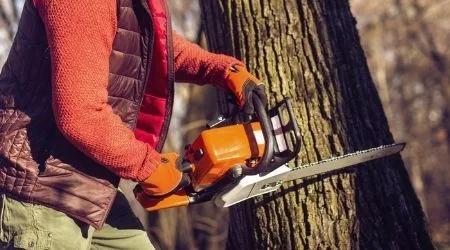 Best chainsaws in Australia