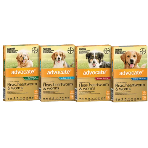 Advocate Flea, Heartworm and Worm Control