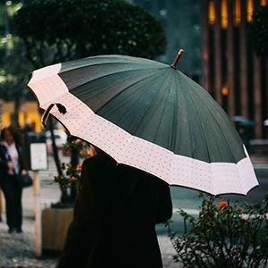 Best umbrellas in Australia 2026
