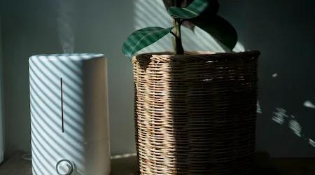 Best dehumidifiers in Australia 2026