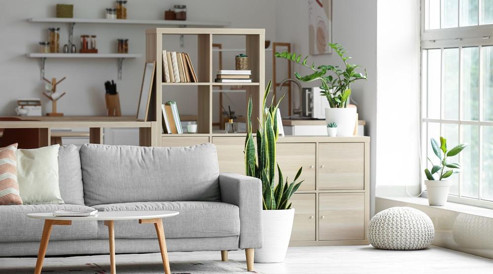 Top sites to buy cheap but stylish furniture online 2026