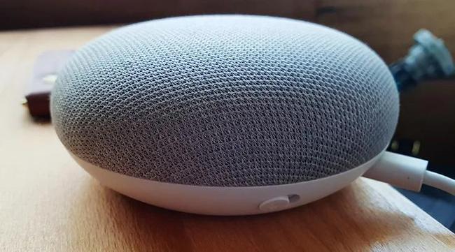 Googlehomemini2