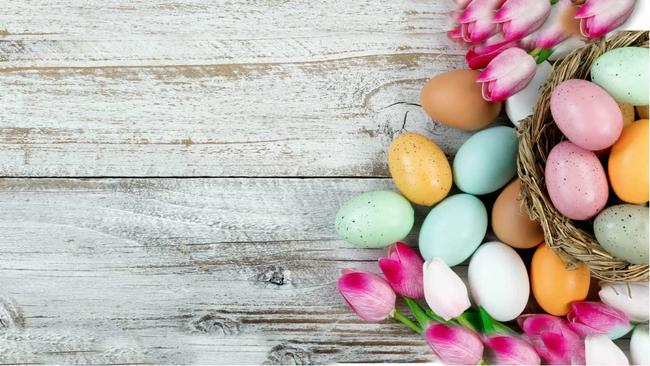 Spring flowers and Easter eggs