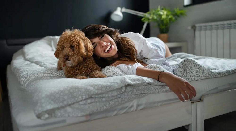 Best flea treatments for dogs in Australia 2026
