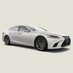 Picture not described