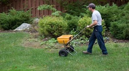 Best lawn fertilisers in Australia