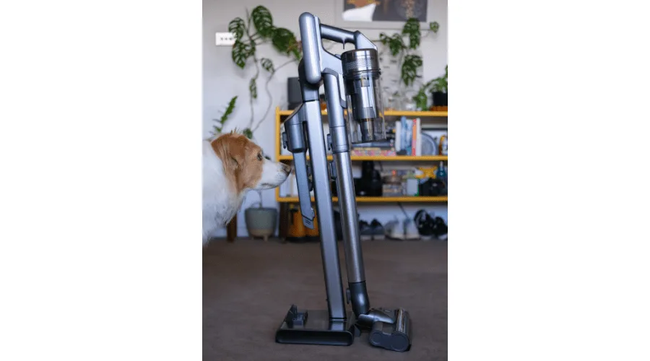 vacuum review