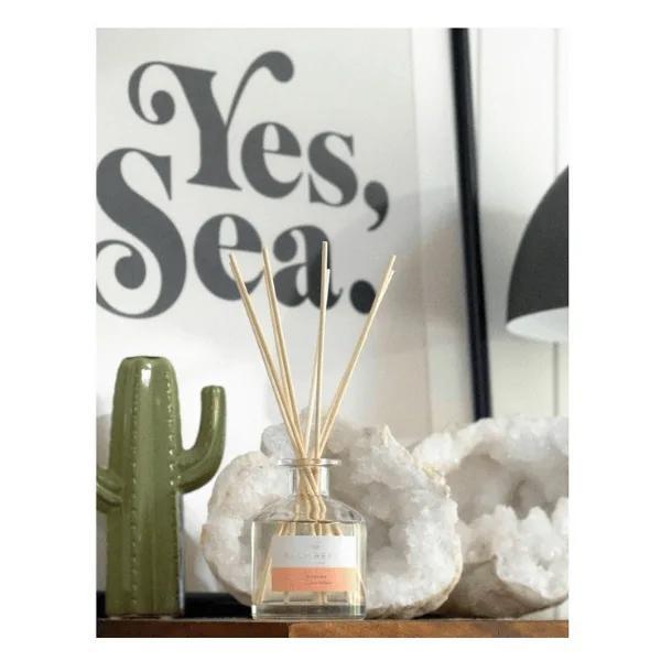 Diffuser1 Supplied x