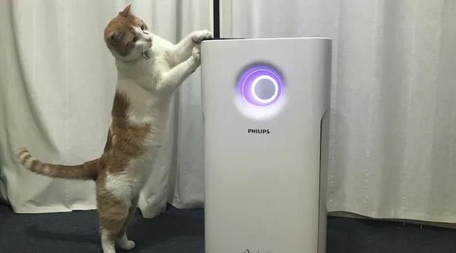 Philips Series 3000 Air Purifier