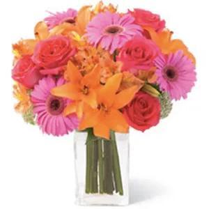 Just Flowers