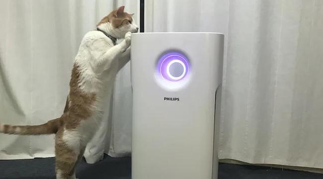 Philips Series 3000 Air Purifier