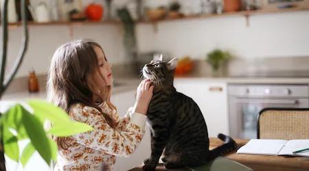 Best cat flea treatment in Australia 2026