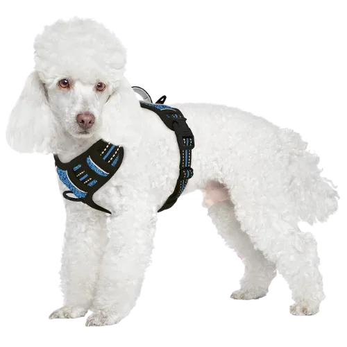 Barkbay No Pull Front Clip Dog Harness