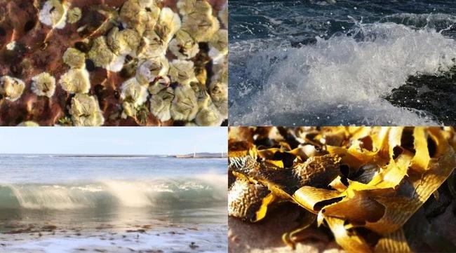 Canon EOS M50 Mark II review - in its case